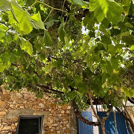 La Shalu - Quinta D'alegria