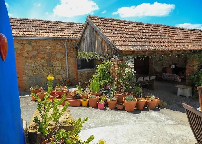 La Shalu - Quinta D'alegria